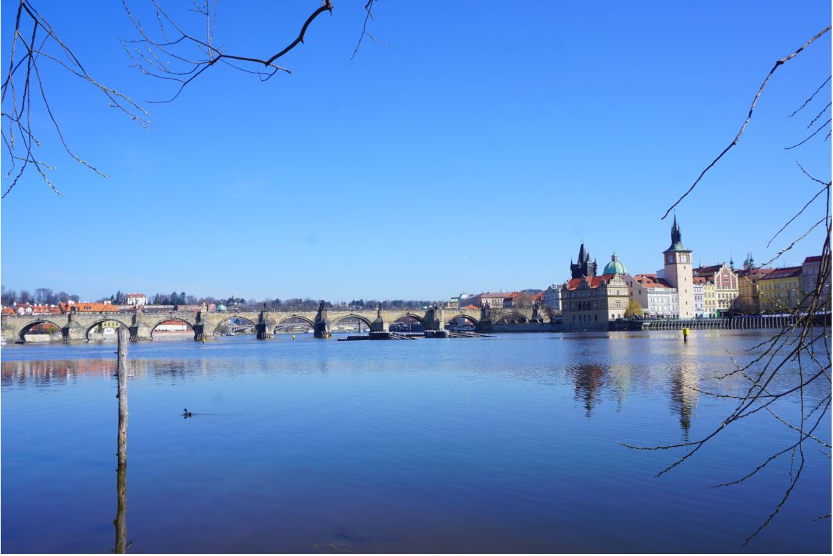 Charles Bridge from a Distance