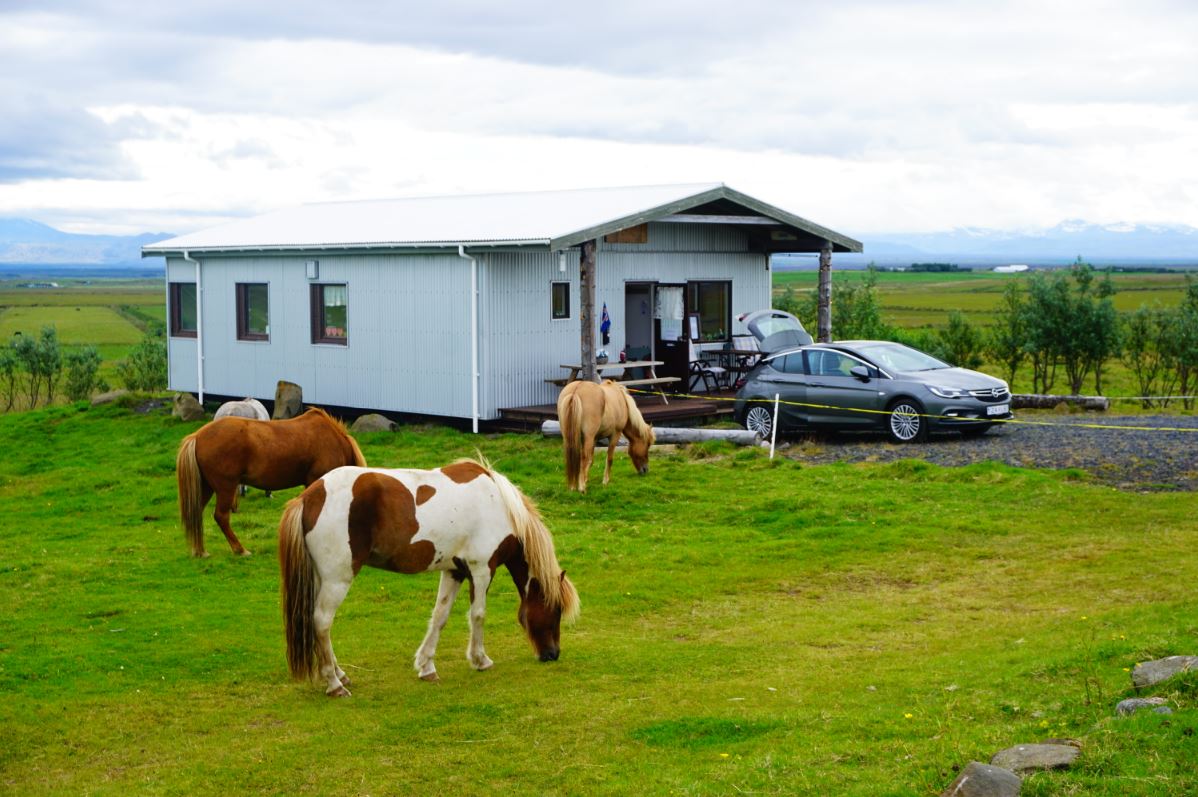 Staying on a horse farm can be a unique experience in Iceland